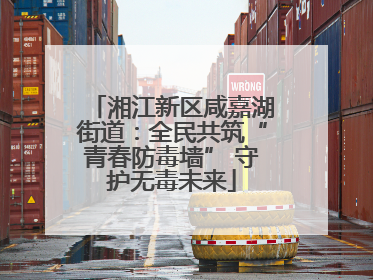 湘江新区咸嘉湖街道：全民共筑“青春防毒墙” 守护无毒未来